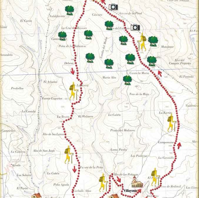 Los caminos de la trashumancia
