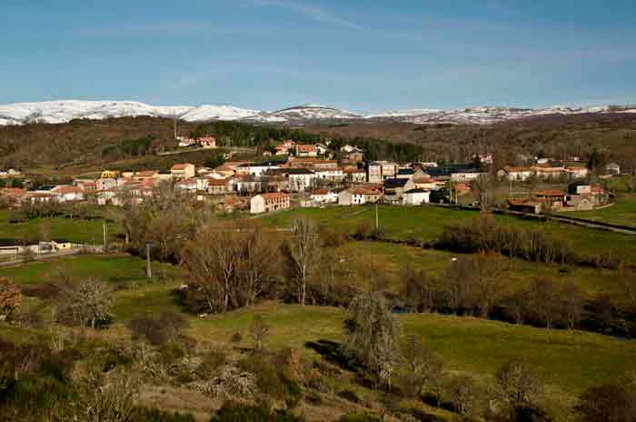 Riello