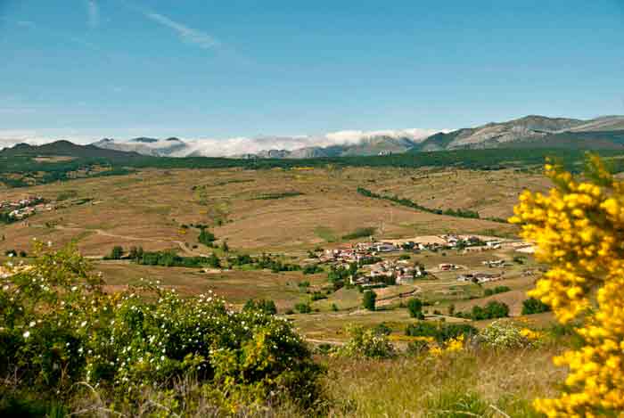 Soto y Amío