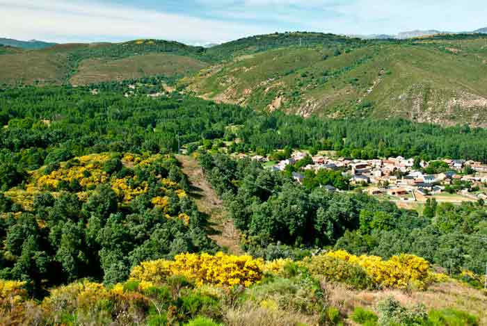Valdesamario