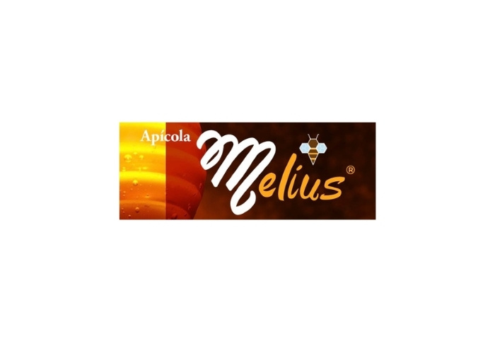 logo Melius