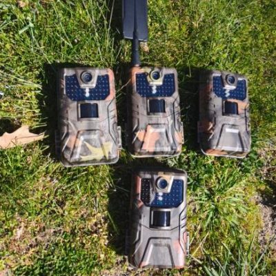 Cámaras de fototrampeo Cámaras de fototrampeo
