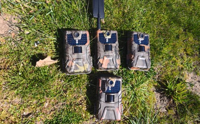 Instalación de cámaras para el seguimiento de fauna asociada a colmenares en la RBVOyL