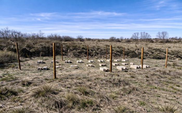 Instalando en colmenar cercados preventivos frente al oso