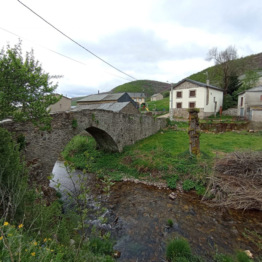 Puente_Sergio Gonzalez